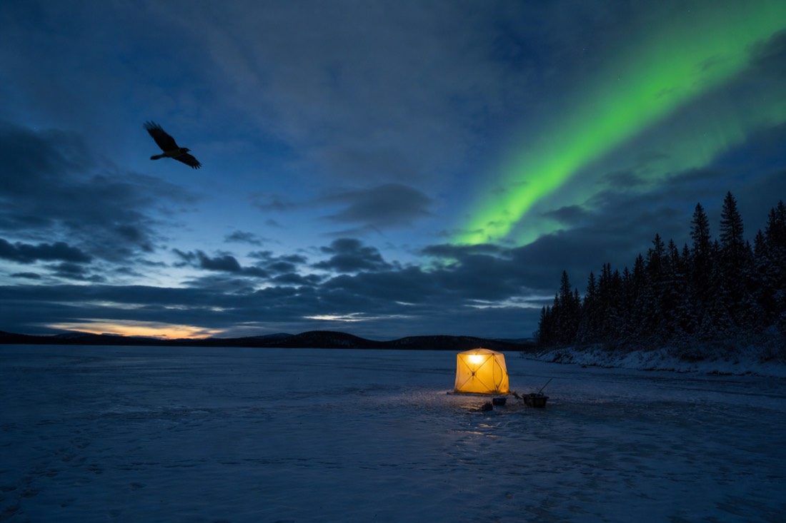 Ice fishing hut glowing on the frozen lake at dusk with a raven flying overhead