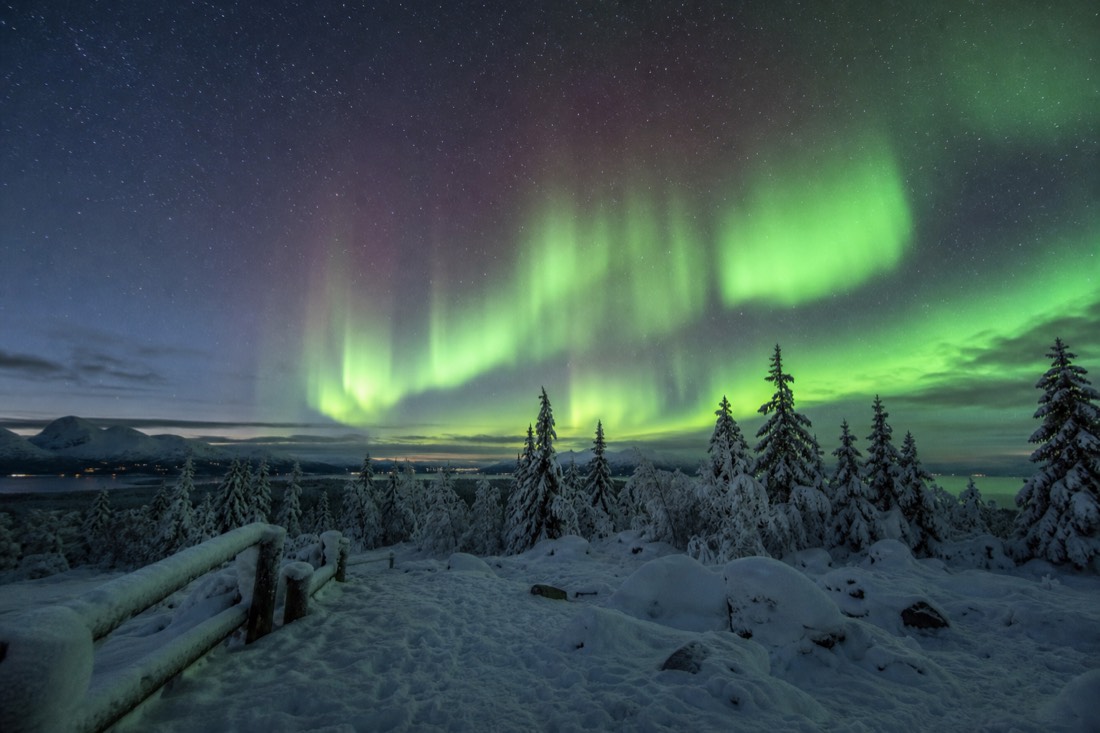 Faint aurora arc strengthening into bright curtains above a quiet snow-covered viewpoint