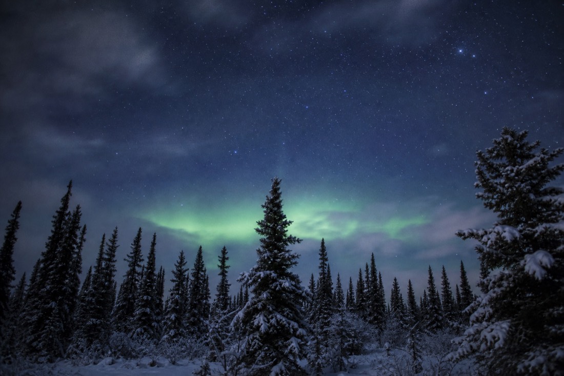 Low cloud clearing to reveal stars and a faint aurora arc over dark spruce forest at night