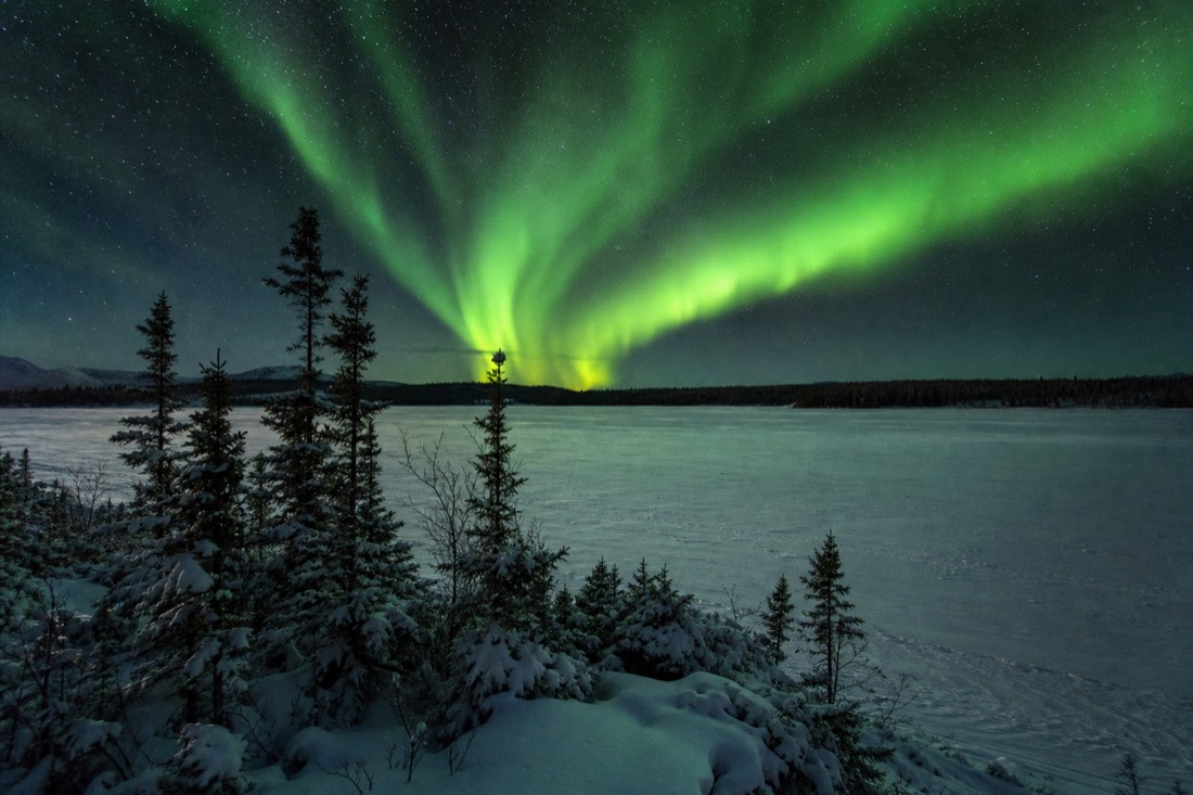 Vivid green aurora curtains over a frozen lake and spruce silhouettes on a clear March night