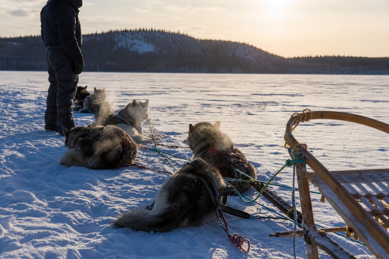 A traditional wooden dog sled and husky team resting on lake ice near Yellowknife with a musher standing by
